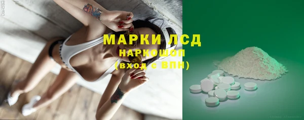 тгк Каменка