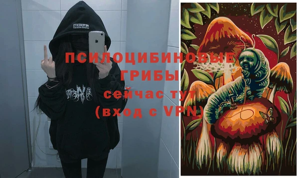дурь Каменск-Шахтинский
