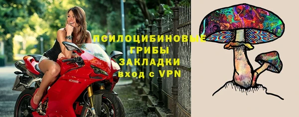 тгк Каменка