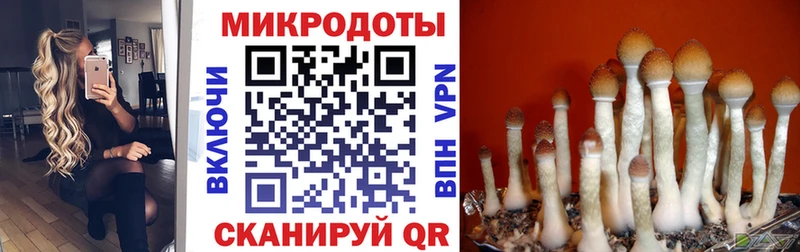 Псилоцибиновые грибы GOLDEN TEACHER  как найти закладки  Спас-Деменск 